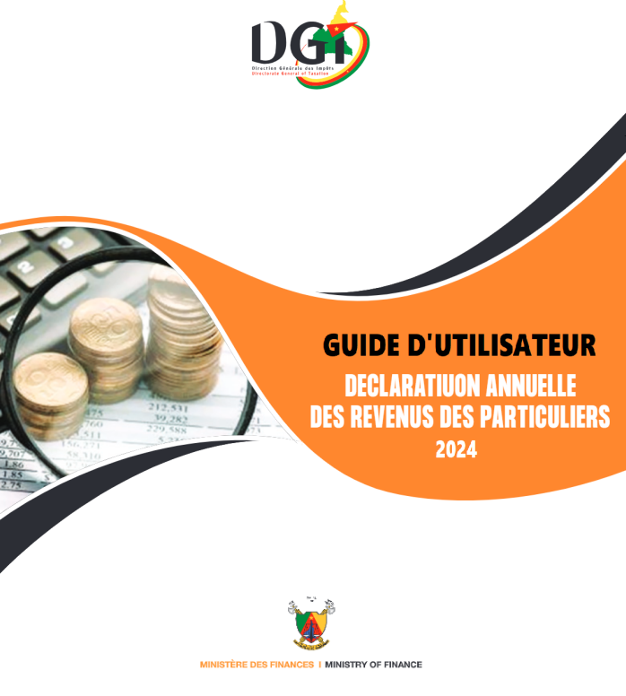 Guide Declaration Annuelle Des Revenus Des Personnes Physiques